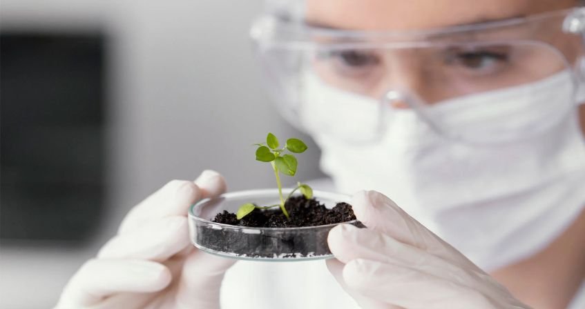 Sustainability Meets Security